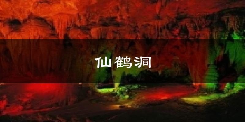 仙鹤洞天气预报十五天