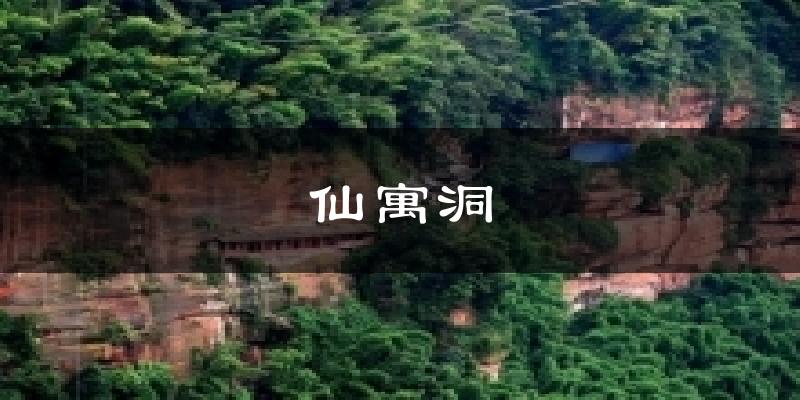 仙寓洞天气预报十五天
