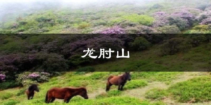 龙肘山天气预报十五天