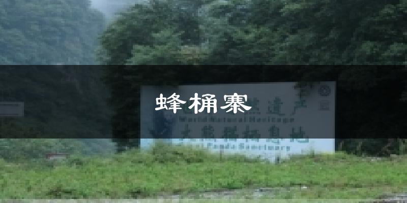蜂桶寨天气预报十五天