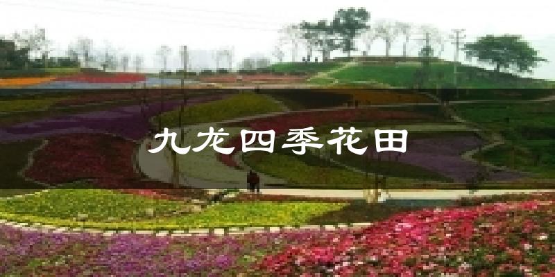九龙四季花田天气预报十五天
