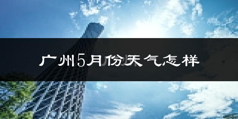 广州5月份天气如何?很热吗?