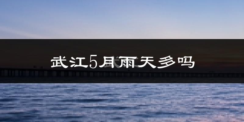 武江5月雨天多吗?