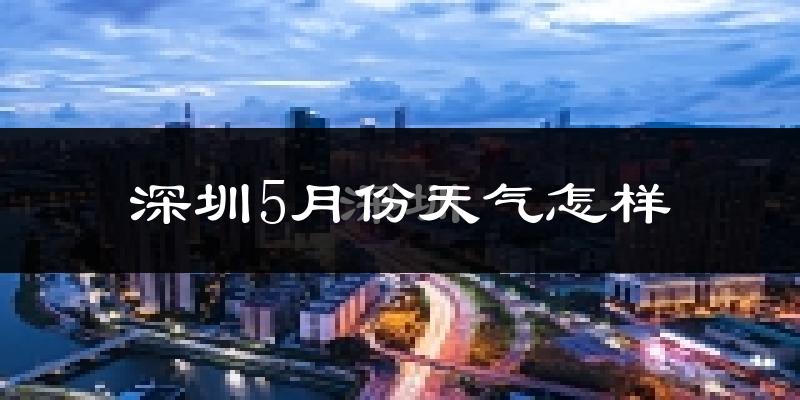 深圳5月份天气如何?很热吗?