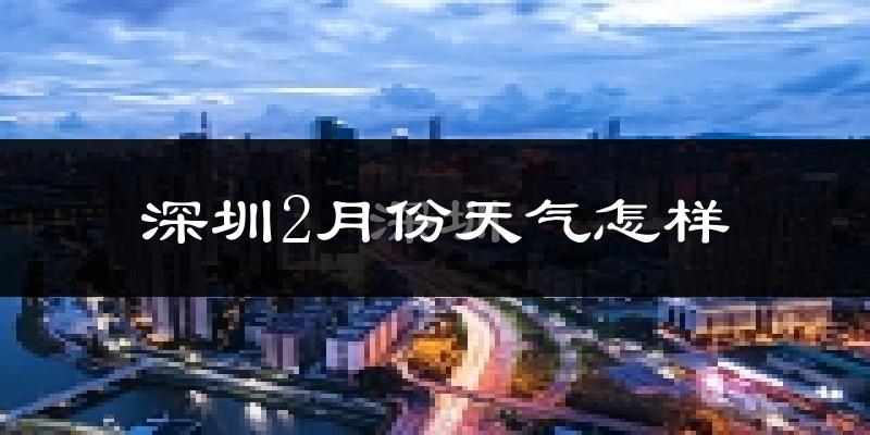 深圳2月份天气如何?冷吗?过去两年2月天气数据分析