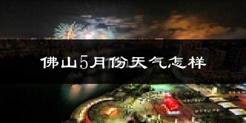 佛山5月份天气如何?很热吗?