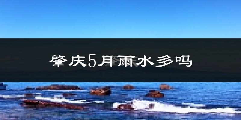 肇庆5月雨水多吗?