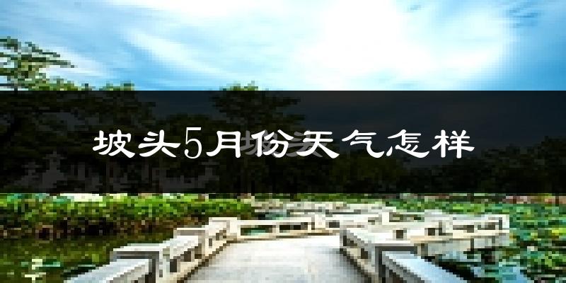坡头5月份天气怎样?坡头五月冷不冷?