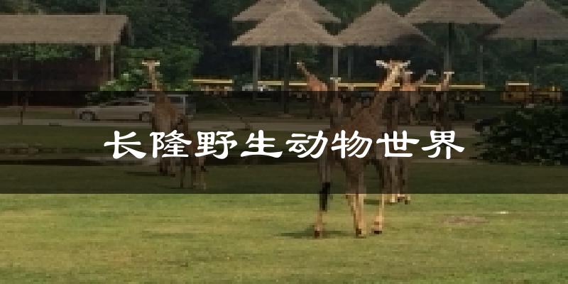 长隆野生动物世界天气预报十五天