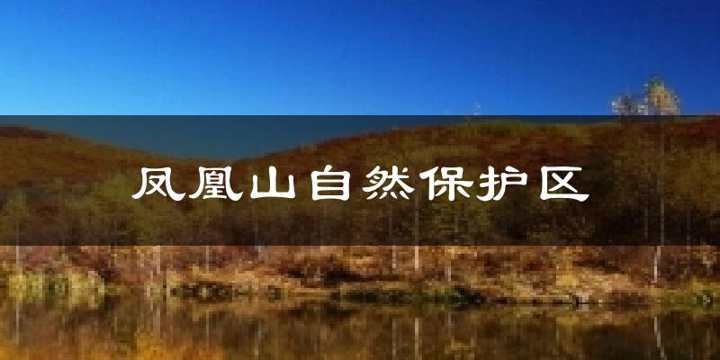 凤凰山自然保护区天气预报十五天
