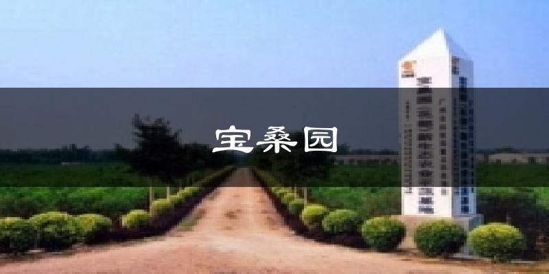 宝桑园天气预报十五天
