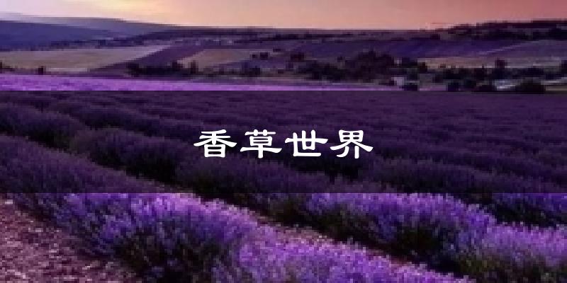 香草世界天气预报十五天