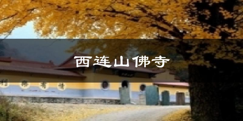 西连山佛寺天气预报十五天