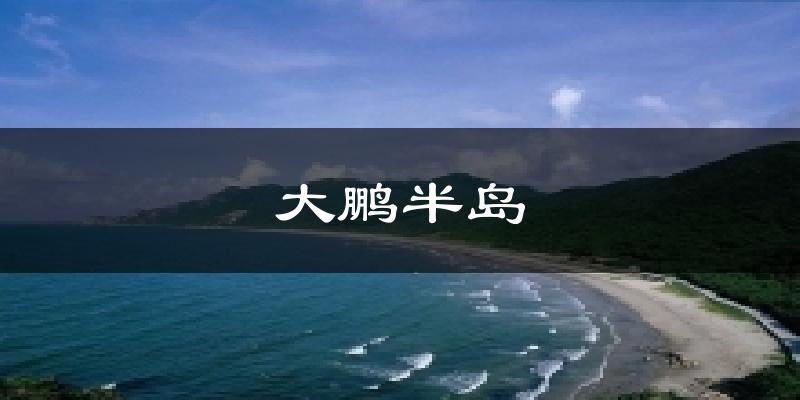 大鹏半岛天气预报十五天