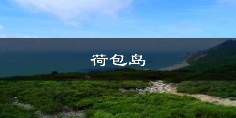 荷包岛天气预报十五天