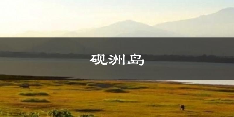 砚洲岛天气预报十五天