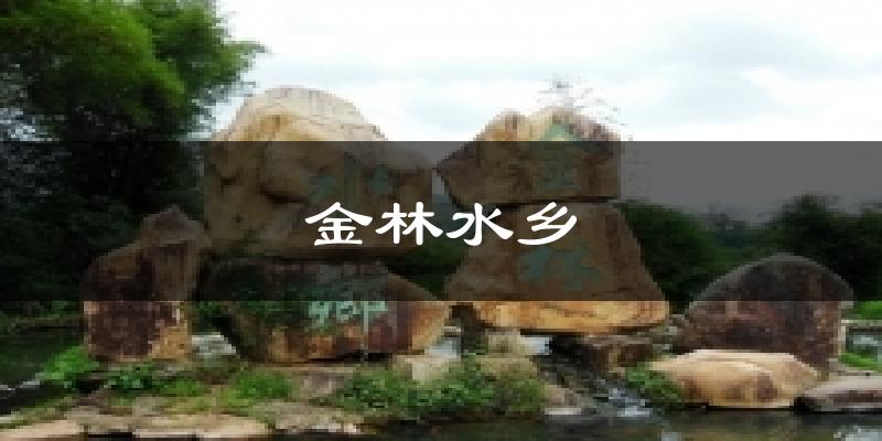 金林水乡天气预报十五天
