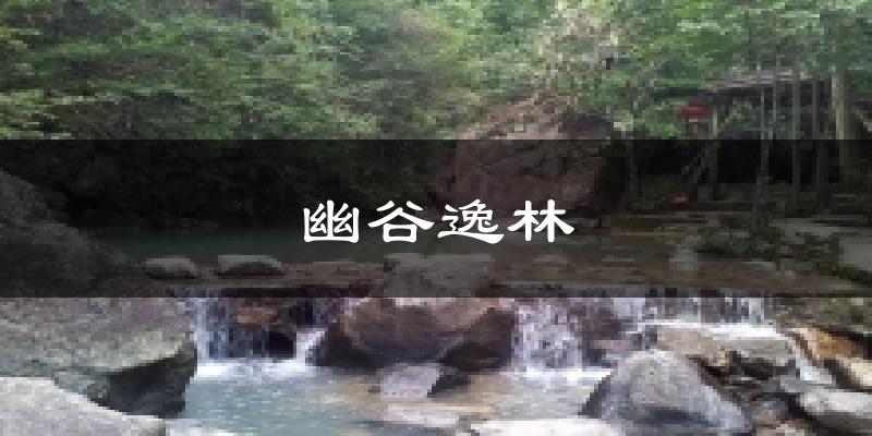 幽谷逸林天气预报十五天