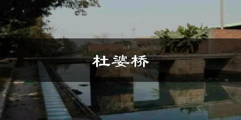 杜婆桥天气预报十五天