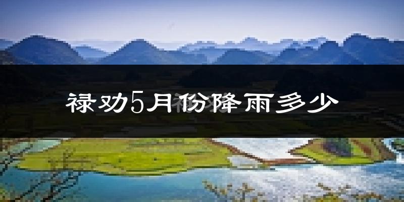 禄劝5月份降雨多少?