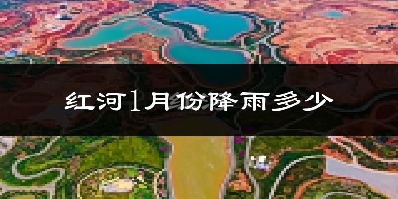 红河1月份降雨多少?