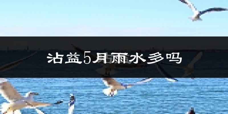 沾益5月雨水多吗?