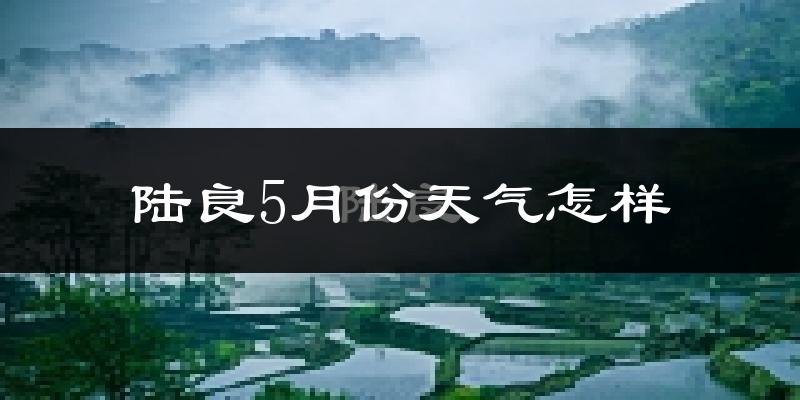 陆良县5月份天气如何?会很热吗?