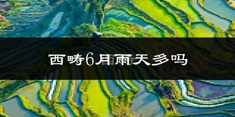 西畴6月雨天多吗?