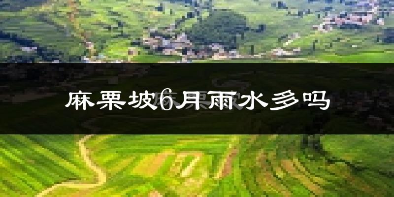 麻栗坡6月雨水多吗?
