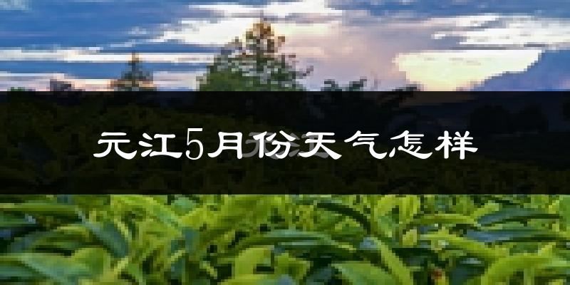 元江哈尼族彝族傣族自治县5月份天气如何?很热吗?