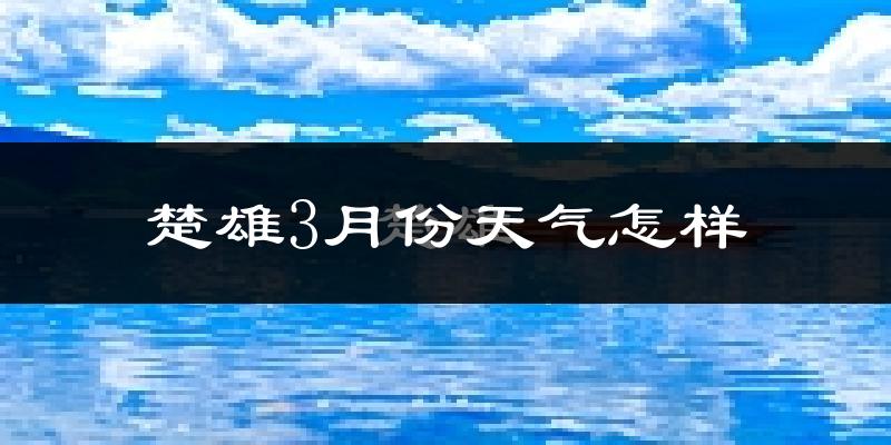 楚雄市3月份天气如何?冷热情况分析