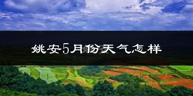 姚安县5月份天气如何?很热吗?