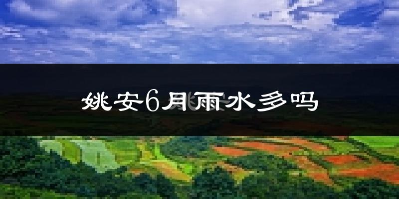 姚安6月雨水多吗?