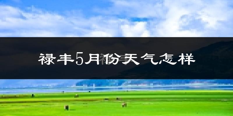 禄丰县5月份天气如何?很热吗?