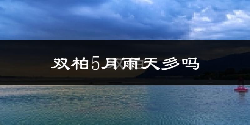双柏5月雨天多吗?