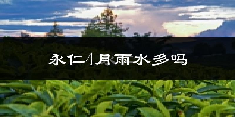 永仁4月雨水多吗?