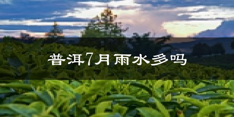 普洱7月雨水多吗?