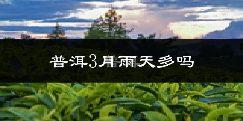 普洱3月雨天多吗?
