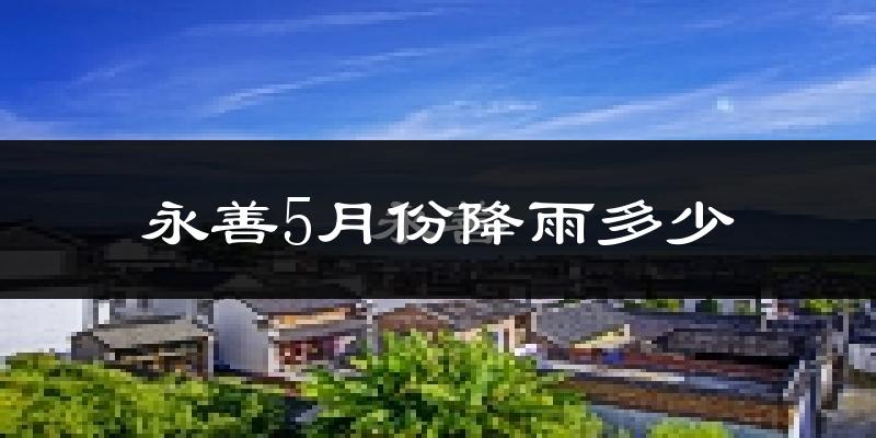 永善5月份降雨多少?
