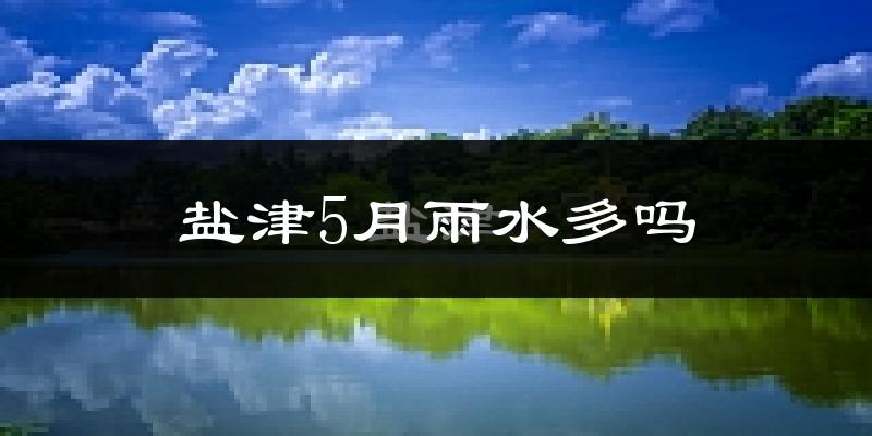 盐津5月雨水多吗?
