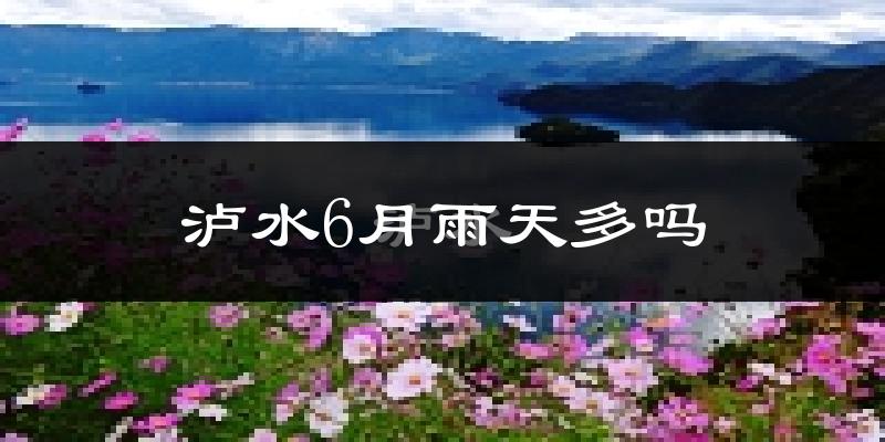 泸水6月雨天多吗?