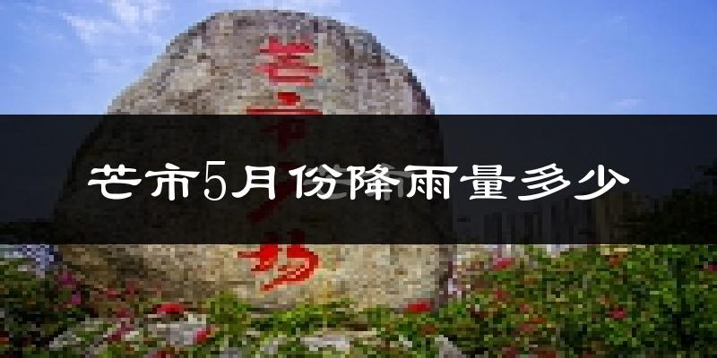 芒市5月份降雨量多少?芒市五月下雨多吗?