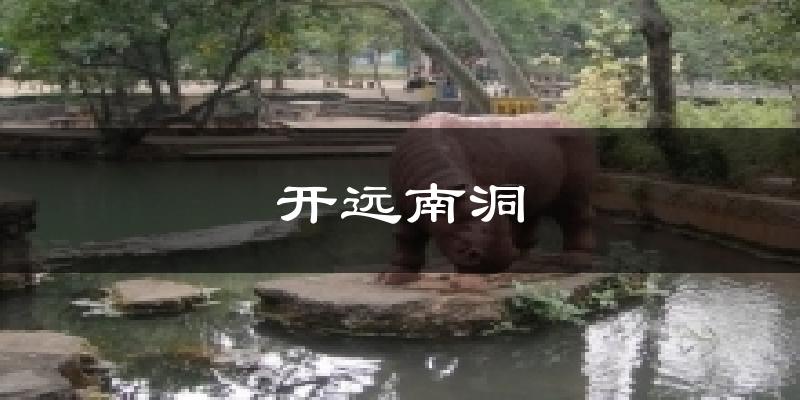 开远南洞天气预报十五天