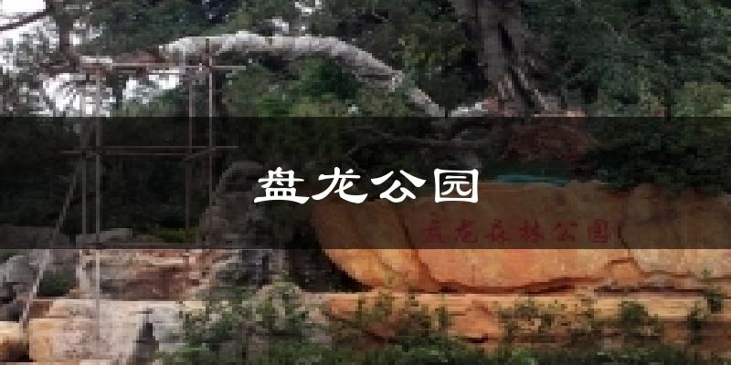 盘龙公园天气预报十五天