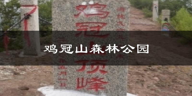鸡冠山森林公园天气预报十五天