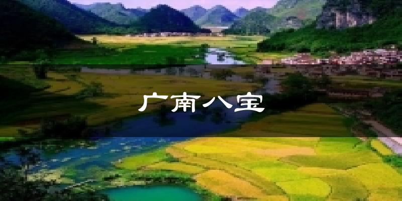 广南八宝天气预报十五天