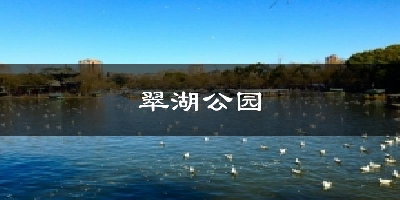 翠湖公园天气预报十五天