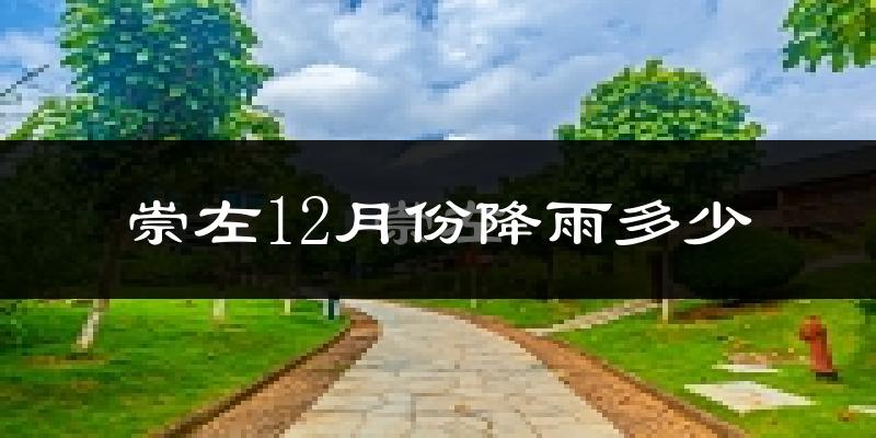 崇左12月份降雨多少?
