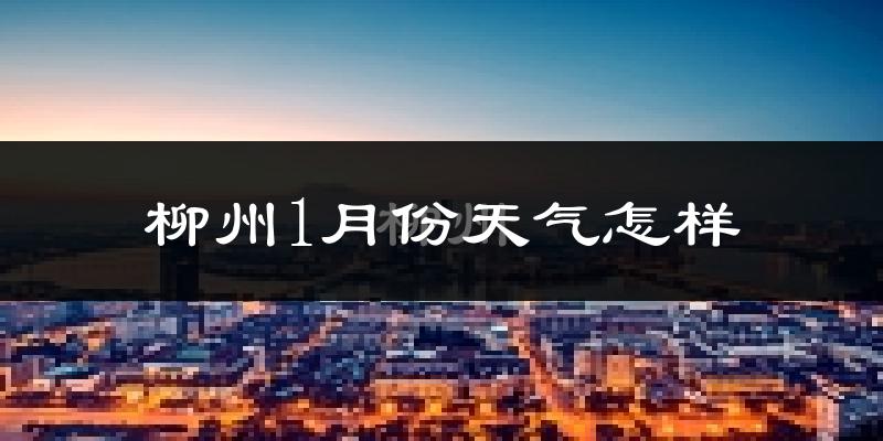 柳州1月份天气如何?冷吗?