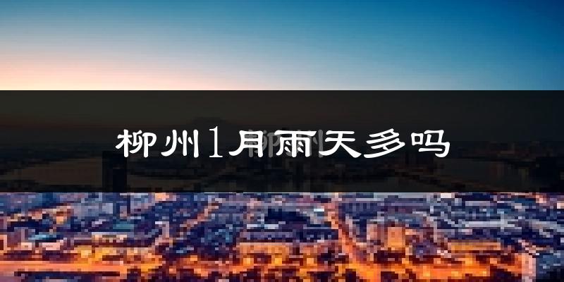 柳州1月雨天多吗?